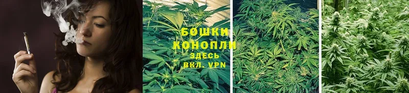 Бошки марихуана OG Kush  Красный Сулин 